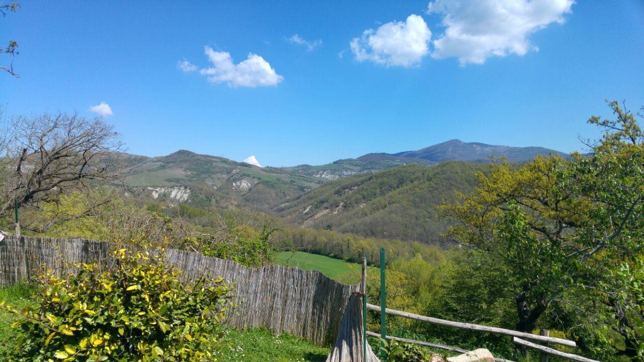Agriturismo Corvaia Radicofani Exterior photo